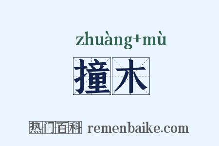 撞木是什么意思的图片